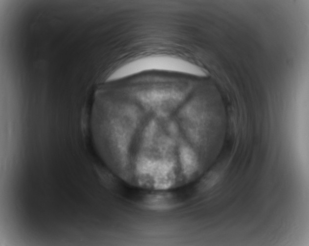X0000087620274200705252009