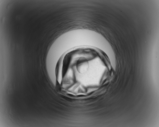 X0000087620276200705252009