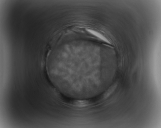 X0000087620277200705252009