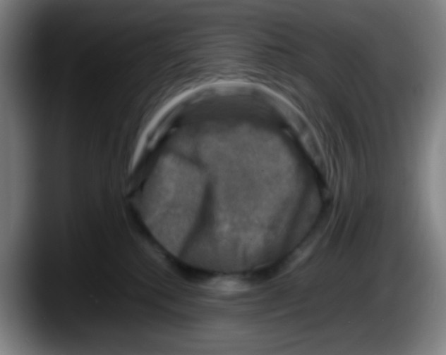 X0000087620280200705252009