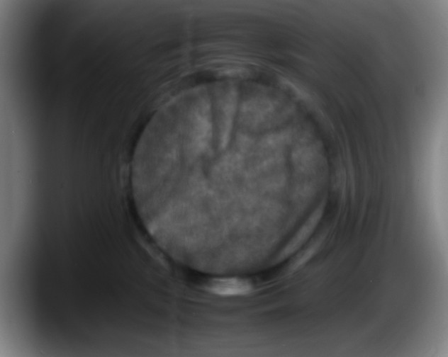 X0000087620281200705252009