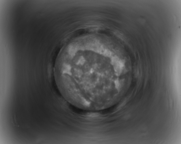 X0000087620283200705252009