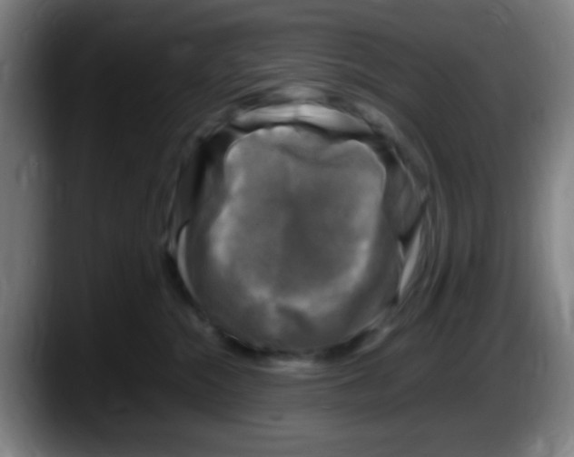 X0000087620284200705252009