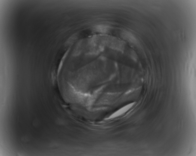 X0000087620285200705252009