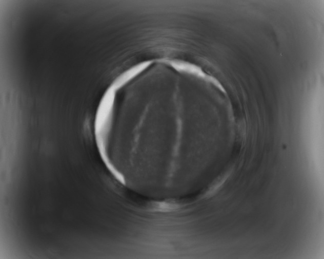 X0000087620286200705252009