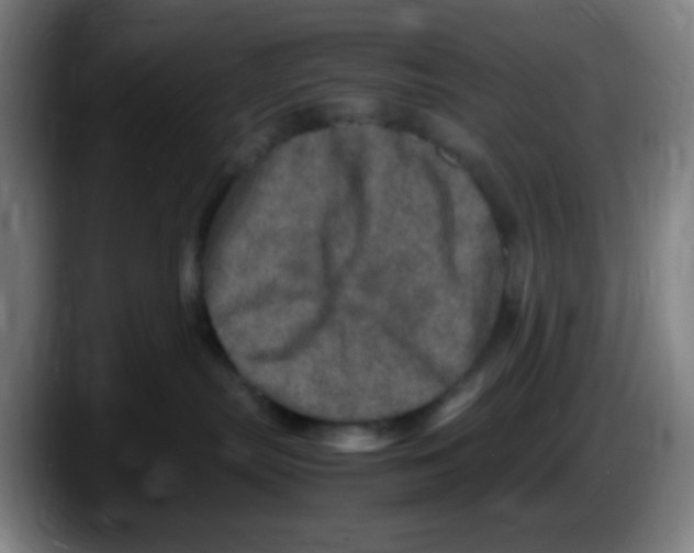 X0000087620287200705252009