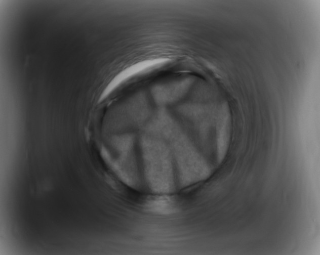 X0000087620288200705252009