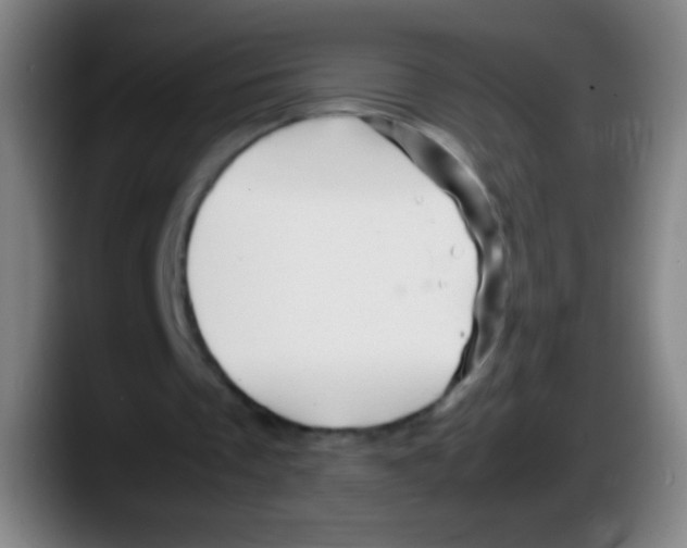 X0000087620289200705252008
