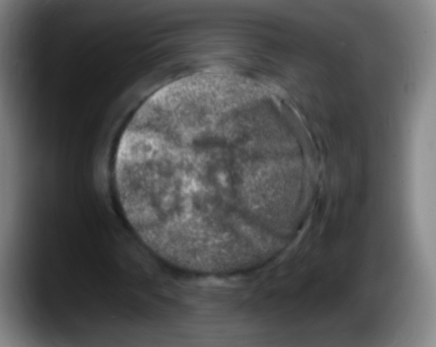 X0000087620290200705252008