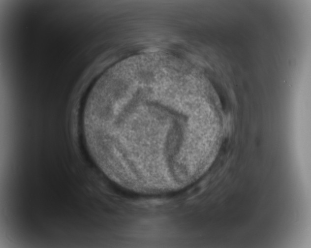 X0000087620291200705252008