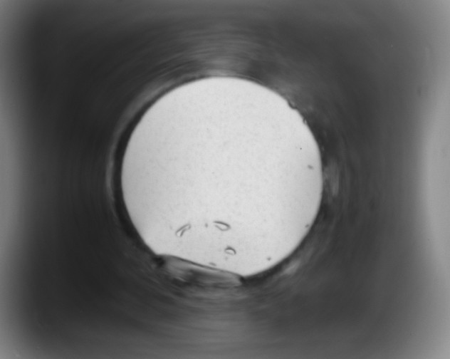 X0000087620292200705252008