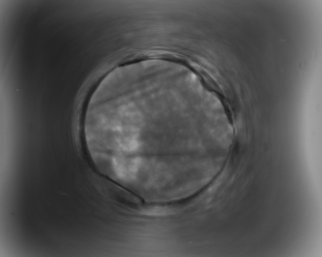 X0000087620293200705252008
