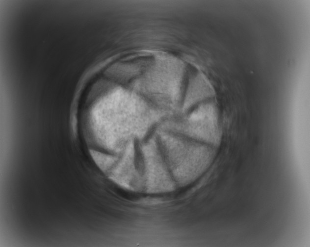 X0000087620294200705252008