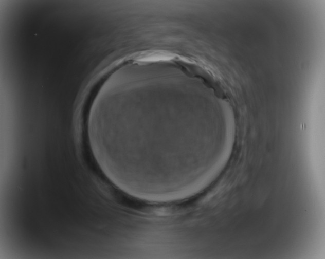 X0000087620295200705252008