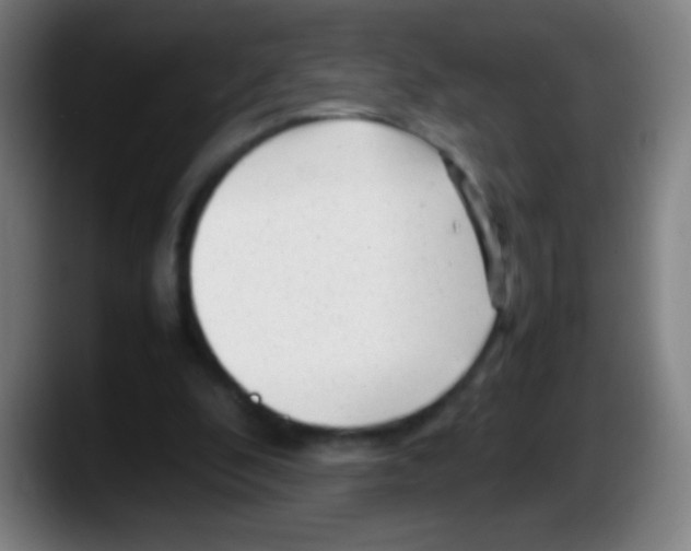 X0000087620296200705252008