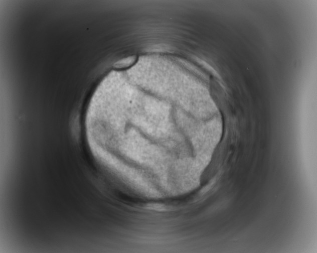 X0000087620298200705252008