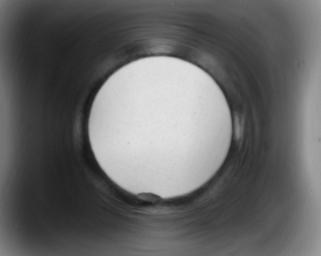 X0000087620300200705252008