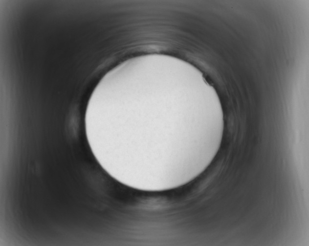 X0000087620304200705252008