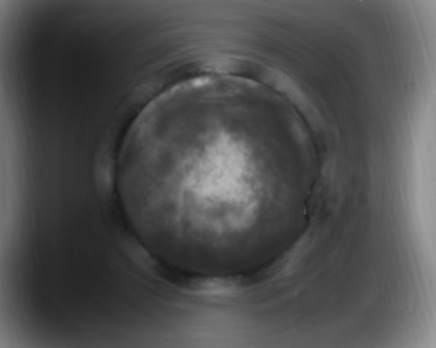 X0000087620305200705252008