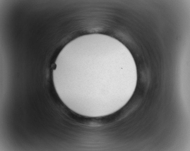 X0000087620308200705252008