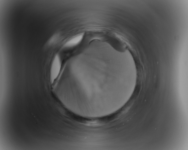 X0000087620309200705252008