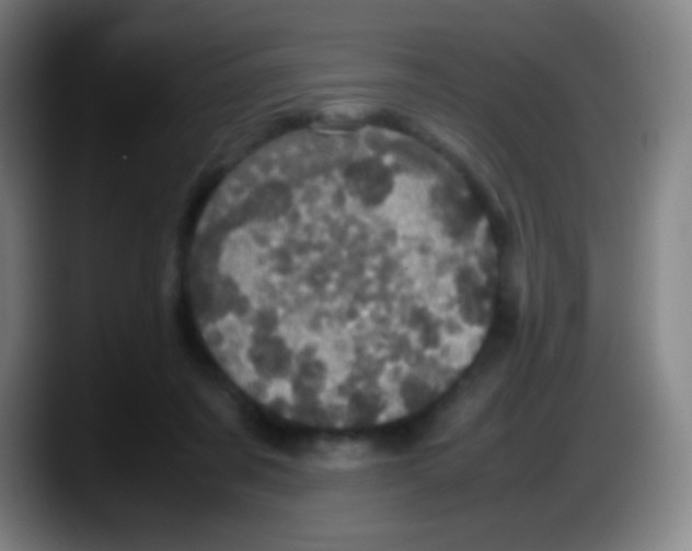 X0000087620311200705252008
