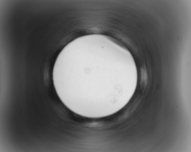 X0000087620312200705252008