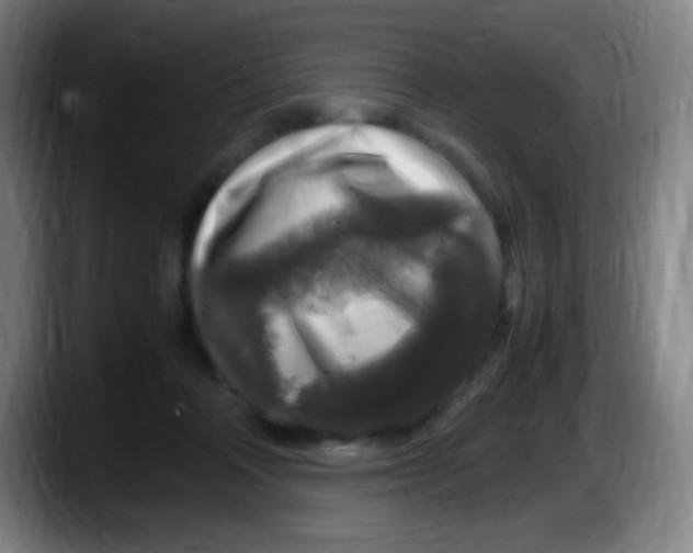 X0000087620314200705252008