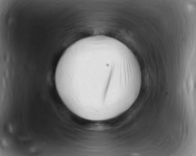 X0000087620316200705252008