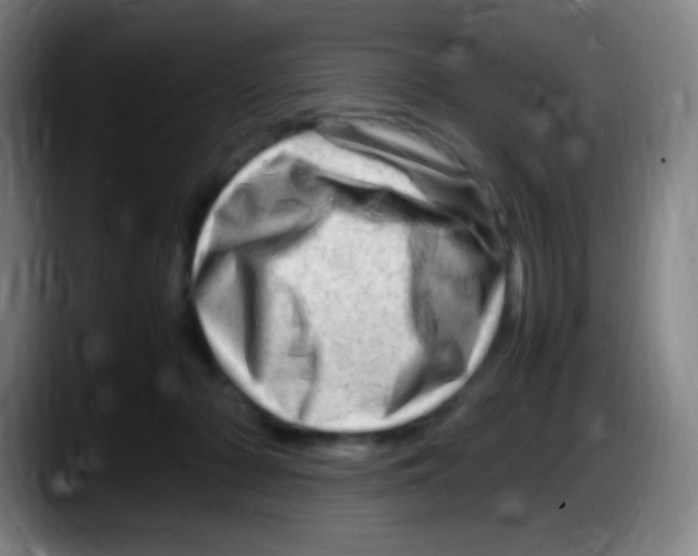 X0000087620318200705252008
