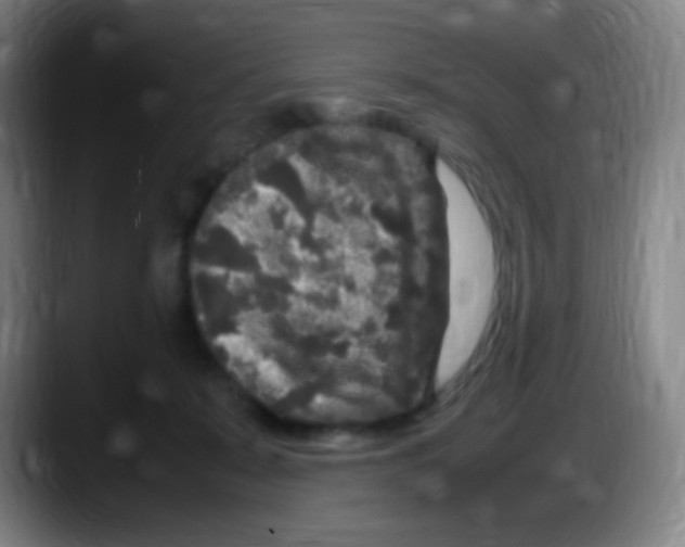 X0000087620319200705252008