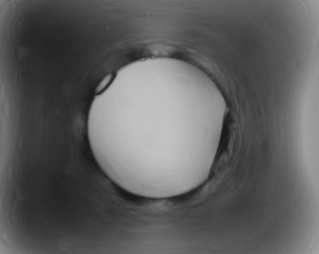 X0000087620321200705252008