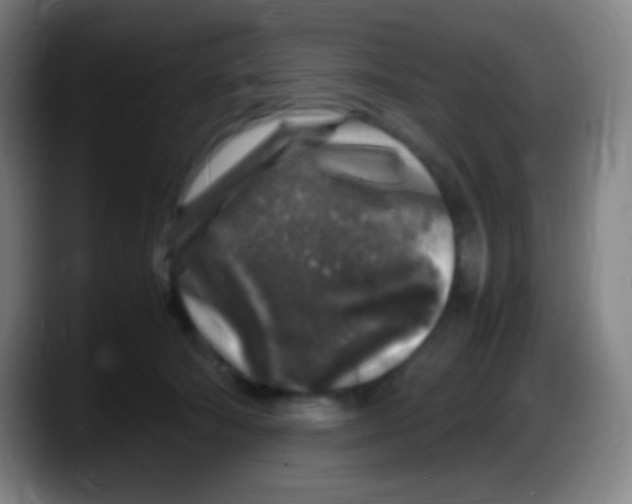 X0000087620322200705252008