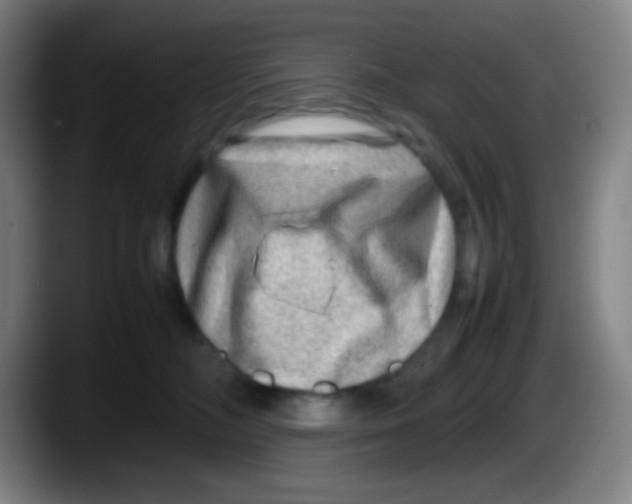 X0000087620326200705252008