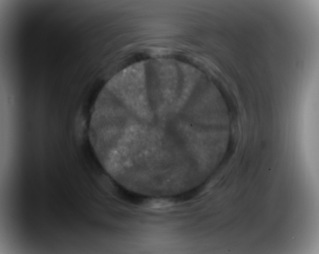 X0000087620327200705252008