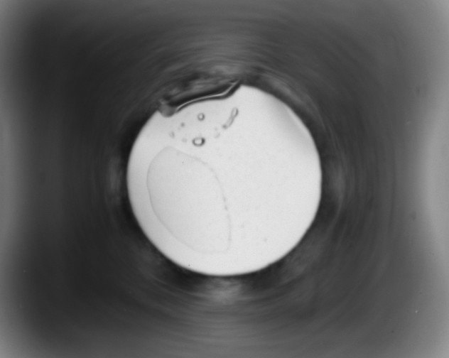 X0000087620328200705252008
