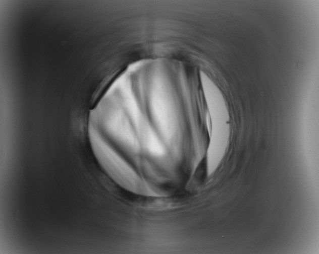X0000087620329200705252008
