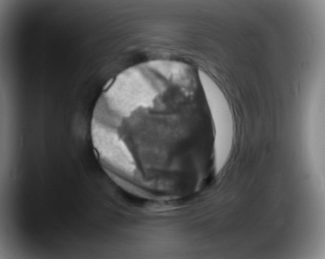 X0000087620331200705252008