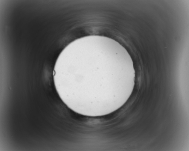 X0000087620332200705252008
