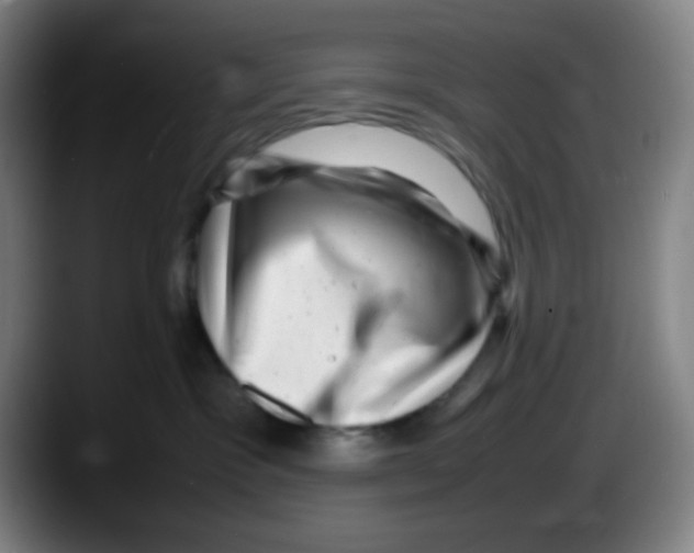 X0000087620333200705252008