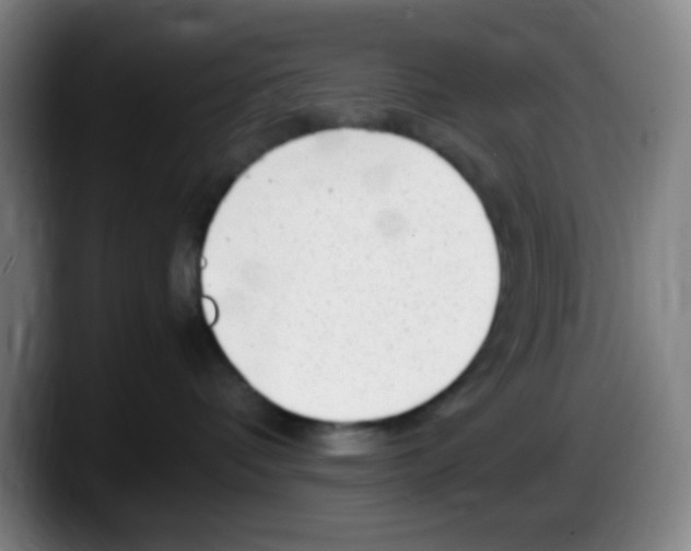 X0000087620336200705252007