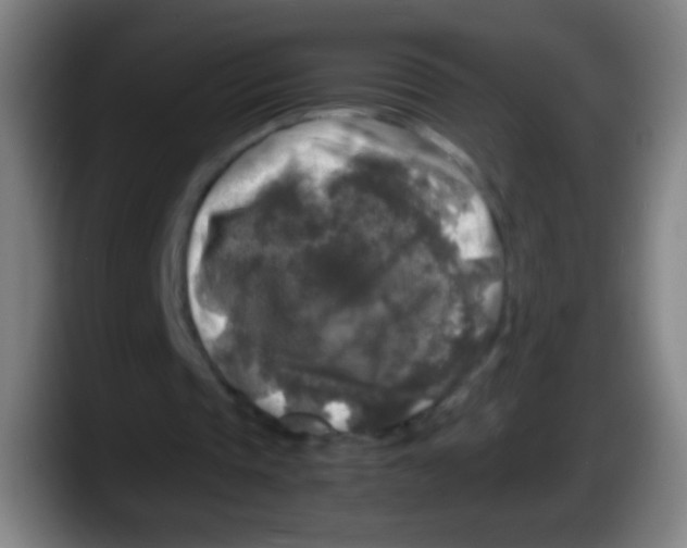 X0000087620337200705252007