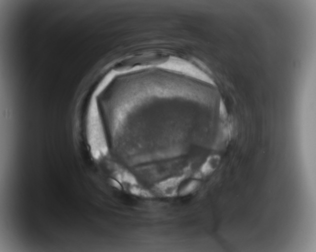 X0000087620339200705252007