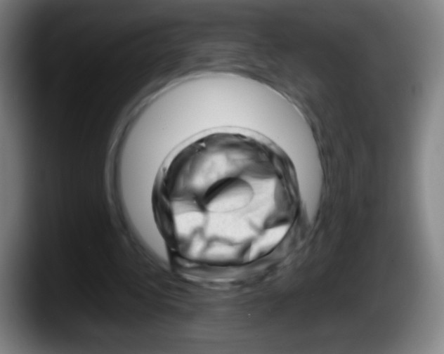 X0000087620340200705252007