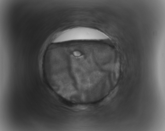 X0000087620341200705252007