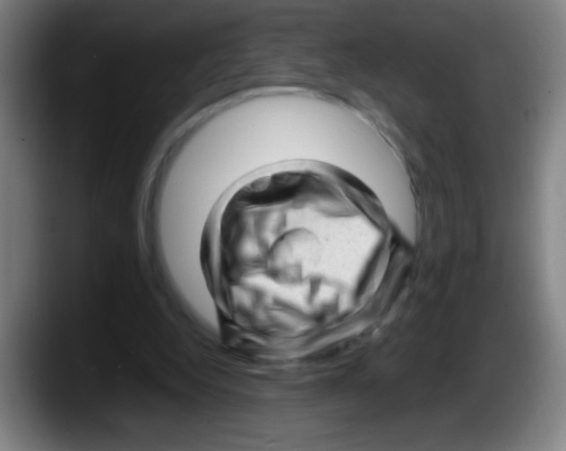 X0000087620344200705252007