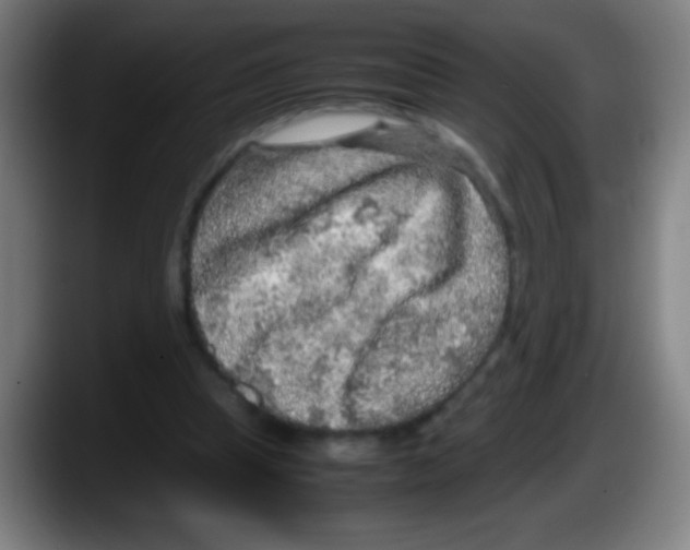 X0000087620345200705252007