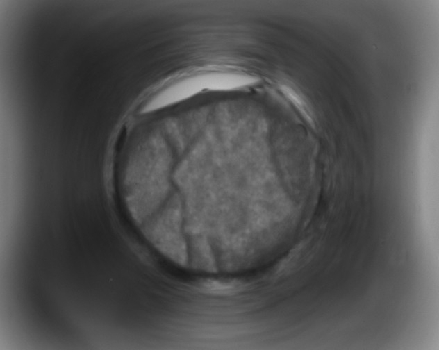 X0000087620346200705252007