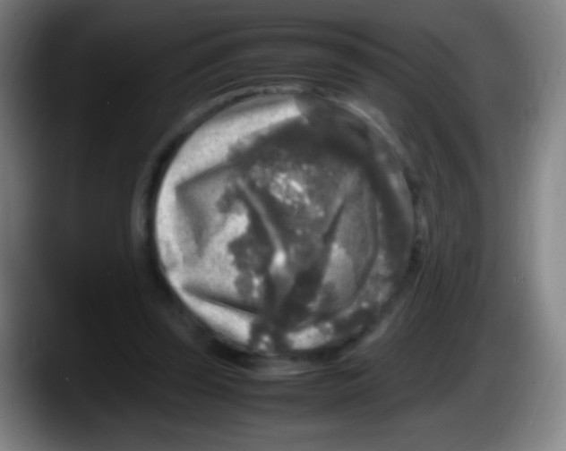 X0000087620347200705252007