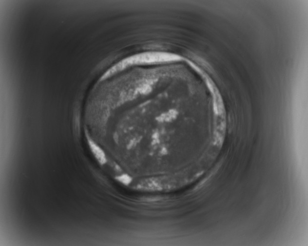 X0000087620349200705252007